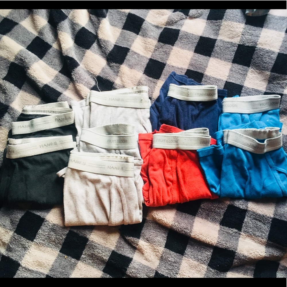 Hanes/Fruit of the Loom Briefs